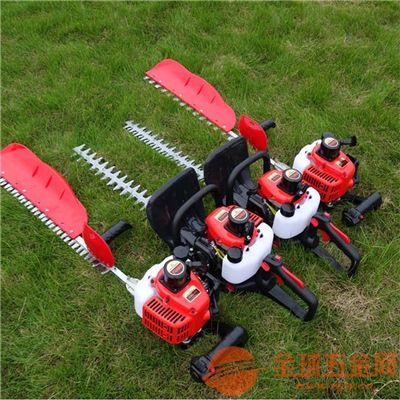 畜牧養(yǎng)殖高壓噴霧消毒機(jī) 銘揚(yáng)農(nóng)用自走式兩沖程噴藥機(jī)