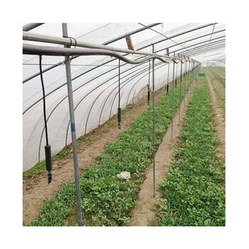 連棟溫室大棚噴灌系統-溫室噴灌系統批發-育苗灌溉設備批發.