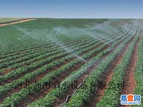 【大同市盂縣玉米zy-2大噴頭廠家批發可零售】-大同易登網